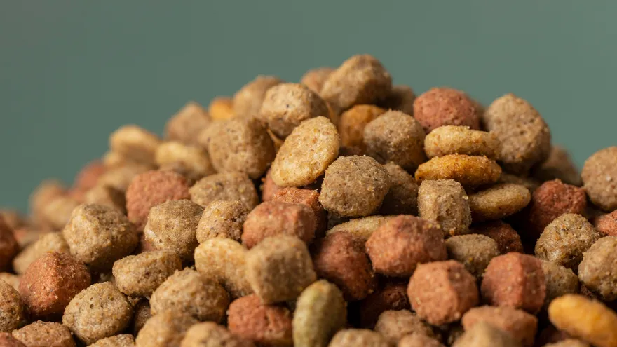 Croquettes chats Purina One , ce que vaut vraiment cette gamme plébiscitée par d