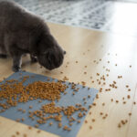 Croquettes Hill’s pour chat