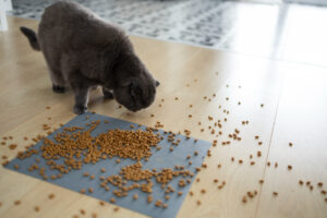 Croquettes Hill’s pour chat