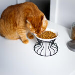 La croquette urinary chat