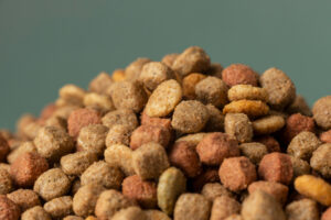 croquettes