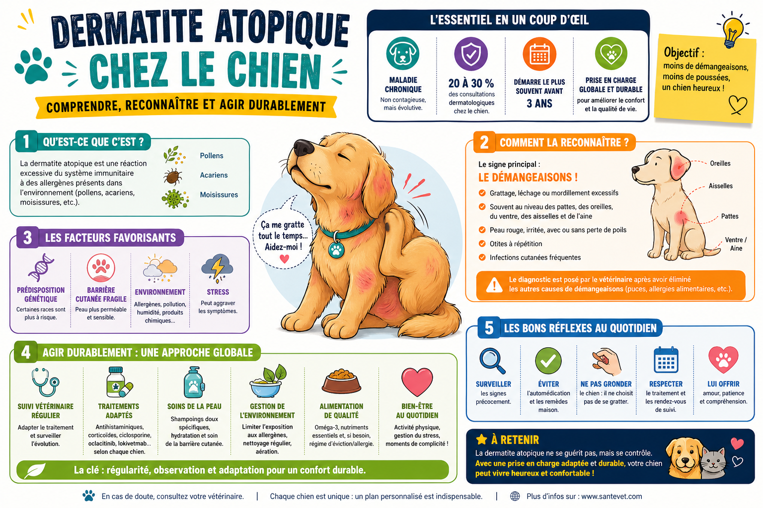 infographie-dermatite-atopique-chez-le-chien-comprendre-reconn-1777113000258 Dermatite atopique chez le chien : comprendre, reconnaître et agir durablement