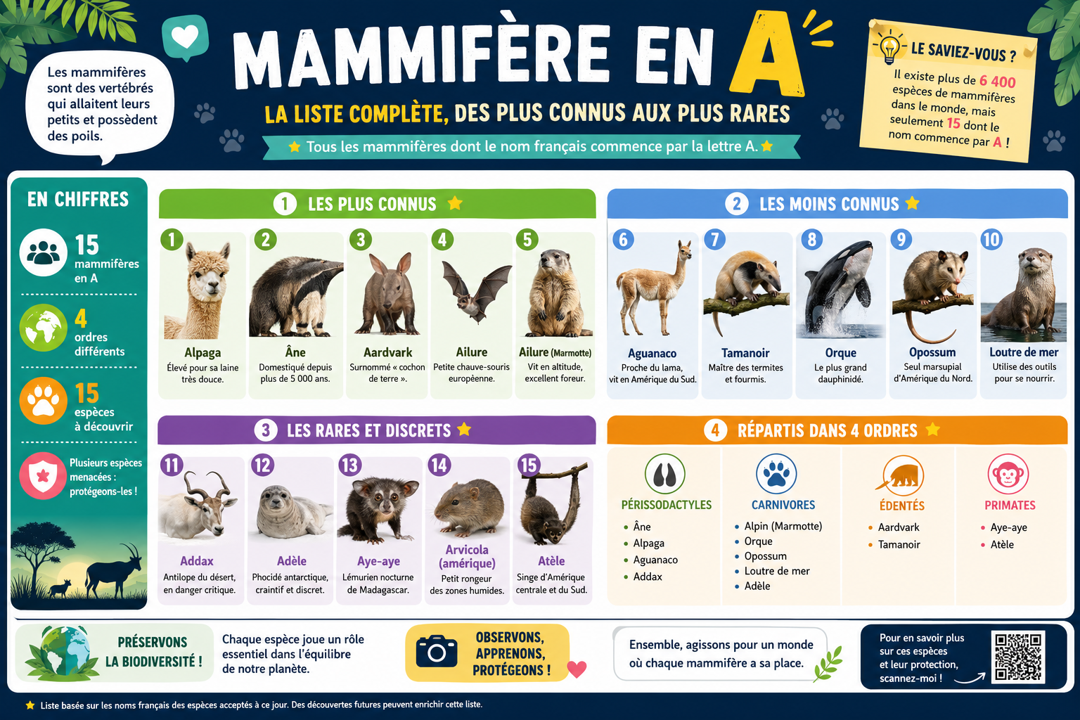 infographie-mammif-re-en-a-la-liste-compl-te-des-plus-connus-a-1777118653141 Mammifère en A : la liste complète, des plus connus aux plus rares