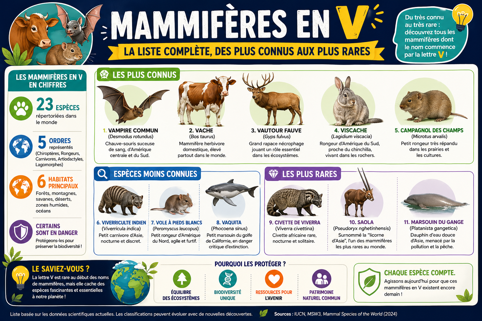 infographie-mammif-res-en-v-la-liste-compl-te-des-plus-connus-1777118555769 Mammifères en V : la liste complète, des plus connus aux plus rares