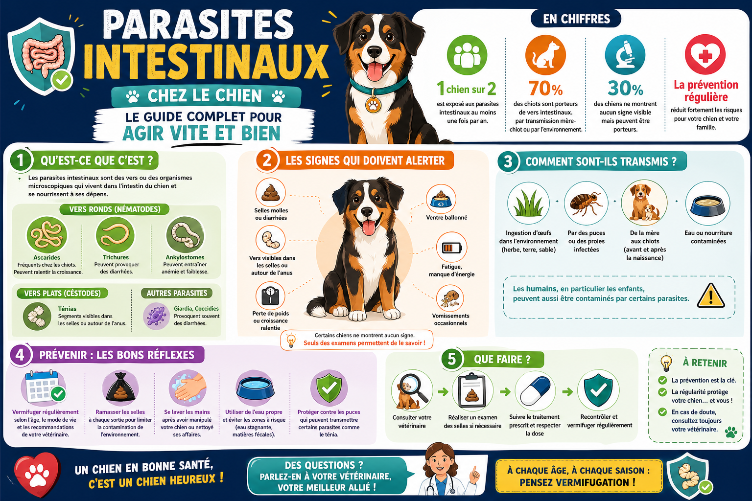 infographie-parasites-intestinaux-chez-le-chien-le-guide-compl-1777114403673 Parasites intestinaux chez le chien : le guide complet pour agir vite et bien