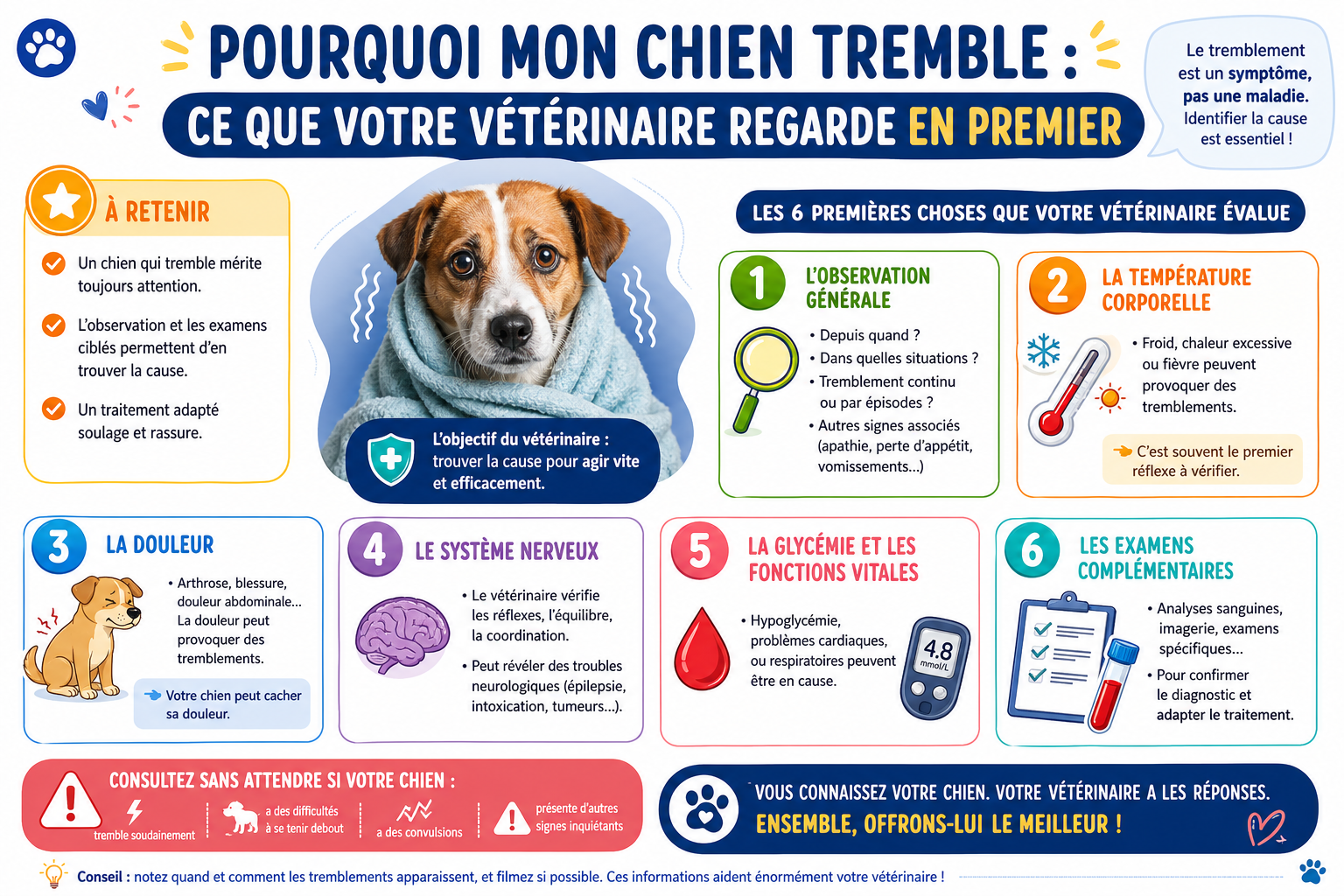 infographie-pourquoi-mon-chien-tremble-ce-que-votre-v-t-rinair-1777118011372 Pourquoi mon chien tremble : ce que votre vétérinaire regarde en premier