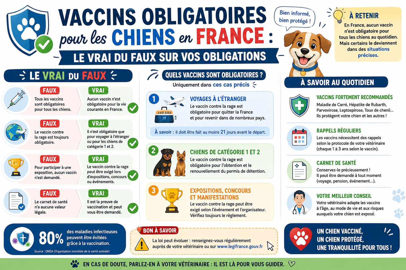 infographie-vaccins-obligatoires-pour-les-chiens-en-france-le-1777113599652 Vaccins obligatoires pour les chiens en France : le vrai du faux sur vos obligations
